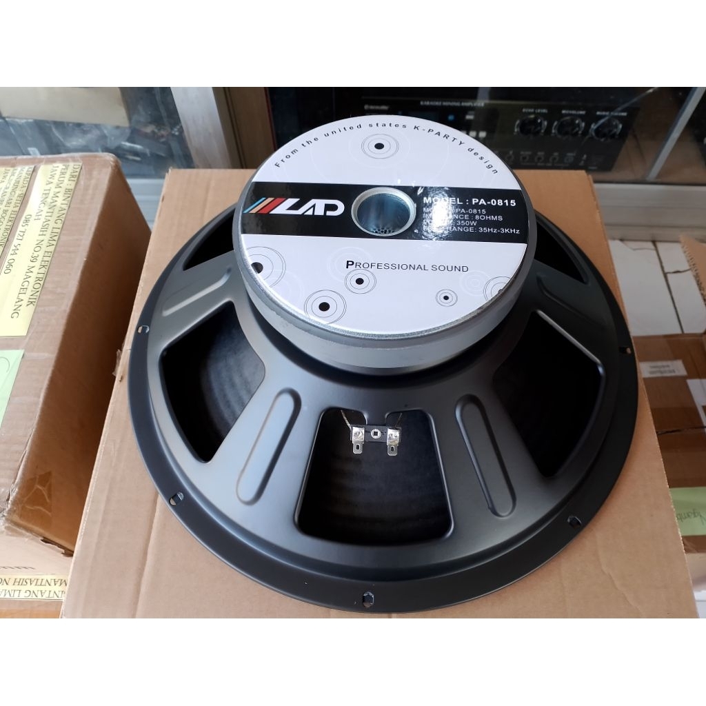 SPEAKER LAD 15 INCH PA 0815