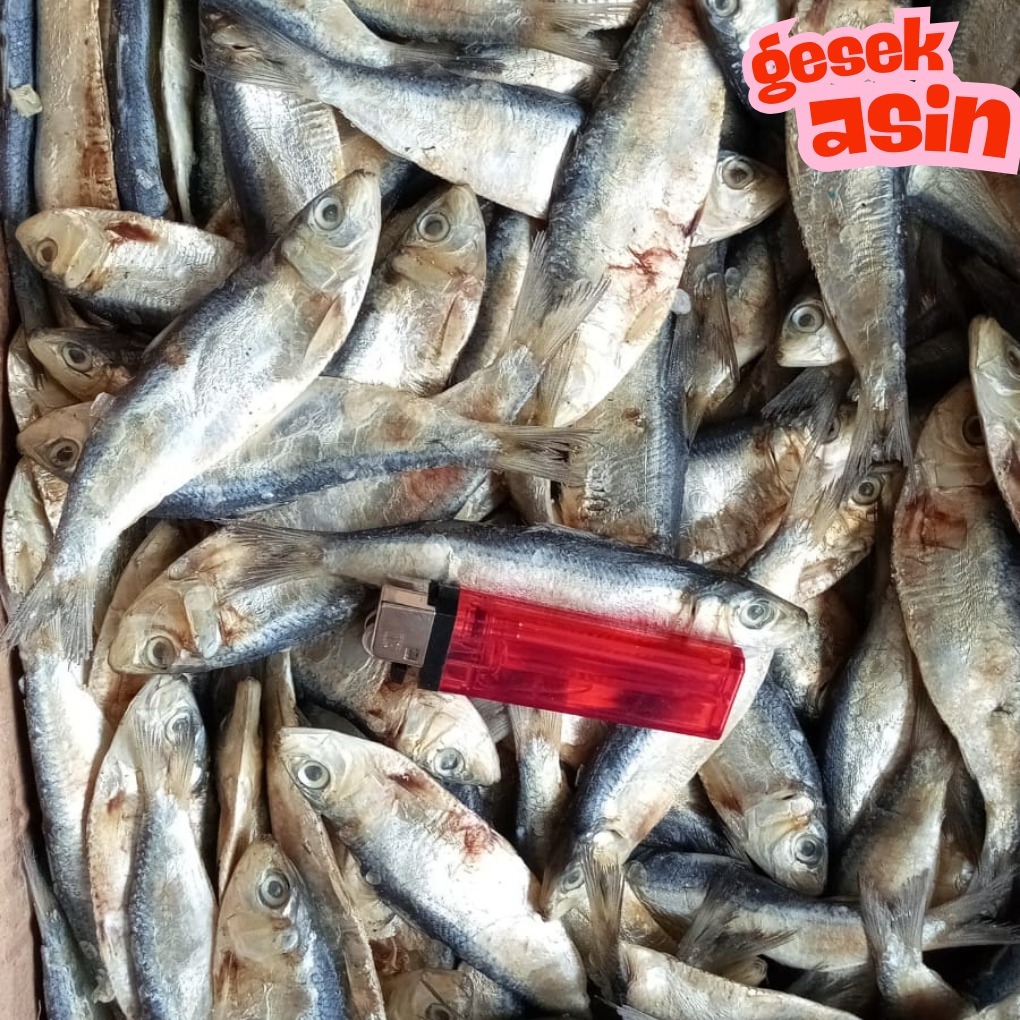 

ikan asin tanjan kering gurih enak dan nikmat praktis untuk lauk pauk berprotein tinggi