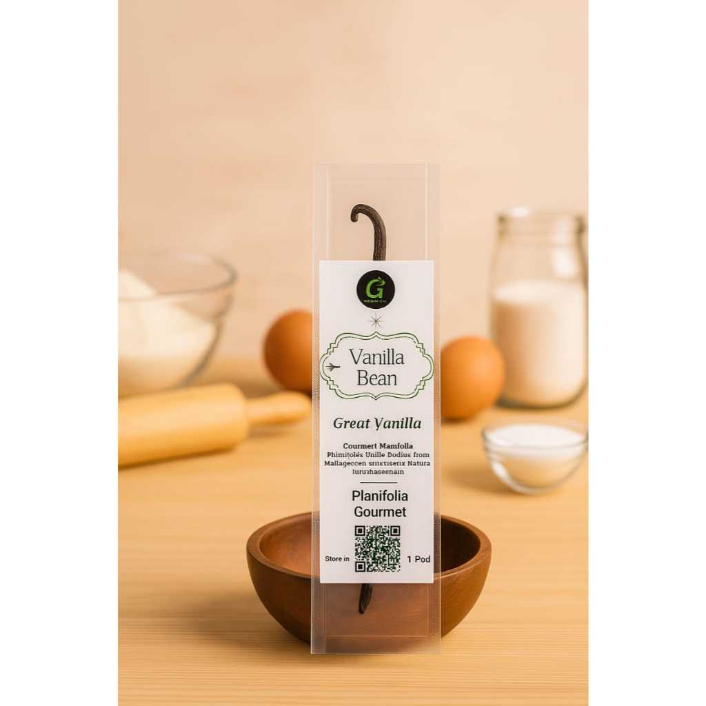 

Great Vanilla Beans Planifolia Panjang Biji 17 cm UP - Vanilla beans Gourmet Grade A