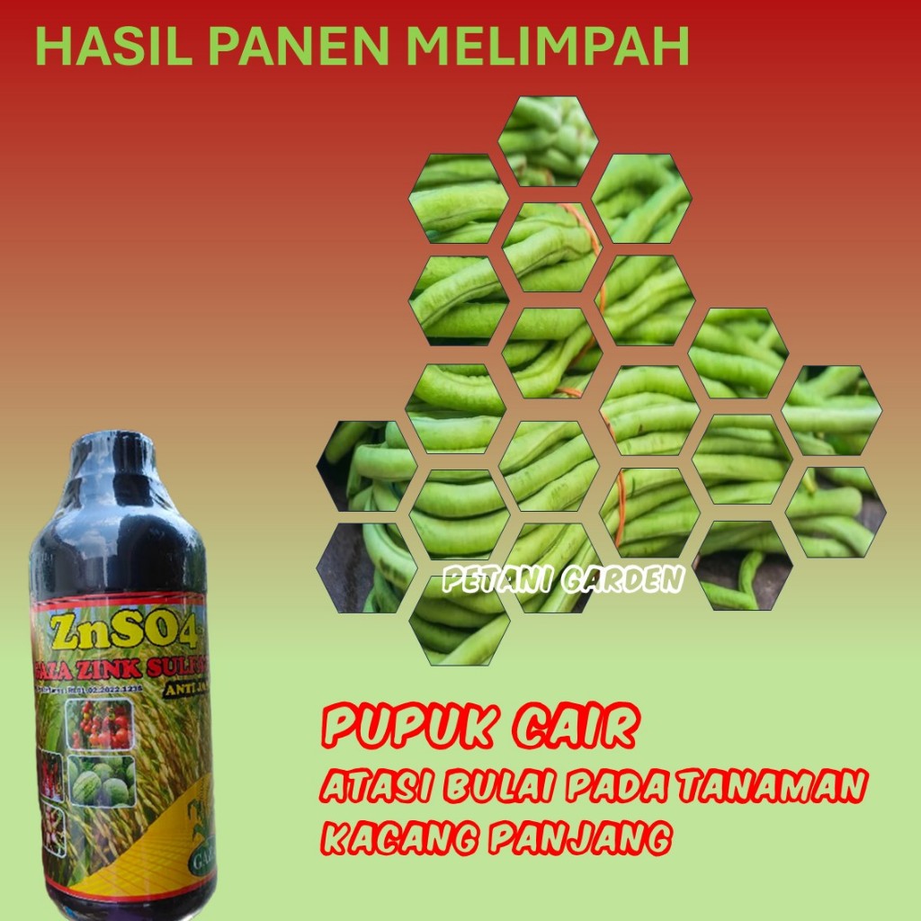 Pupuk ZnSO Cair Booster Kacang Panjang | Atasi Daun Keriting Tanaman Subur Panjang Lebat Segar Panen