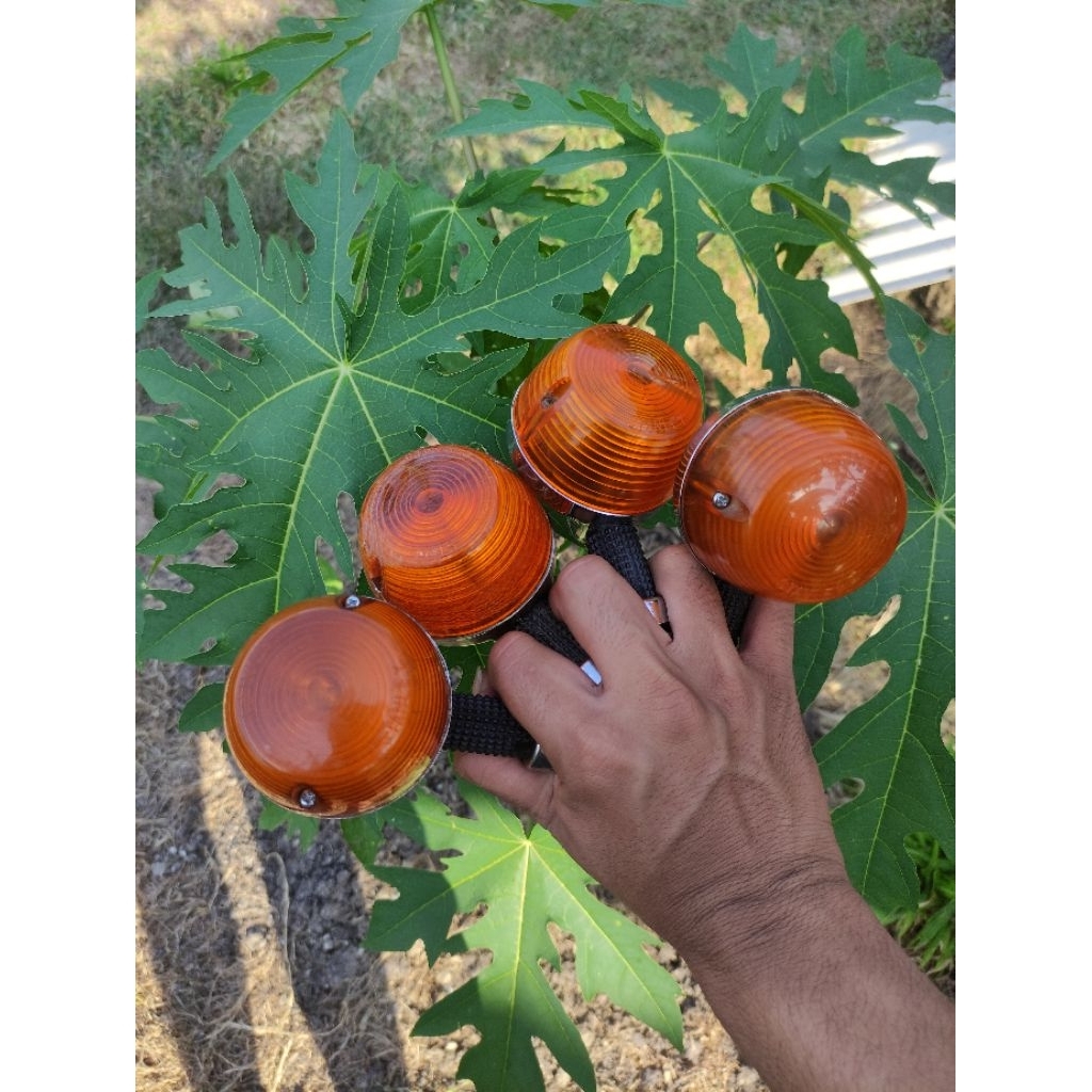 sein gl 100 bulat gl platina original