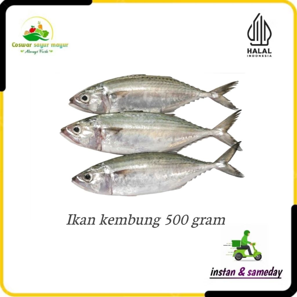 ikan kembung segar ( 500gram ) masakan harian/ikan segar laut/cocok goreng dan bakar