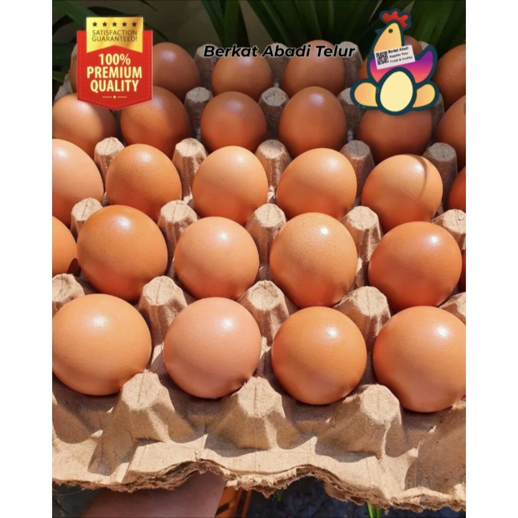 

Telur ayam negri lokal premium isi 10 fresh
