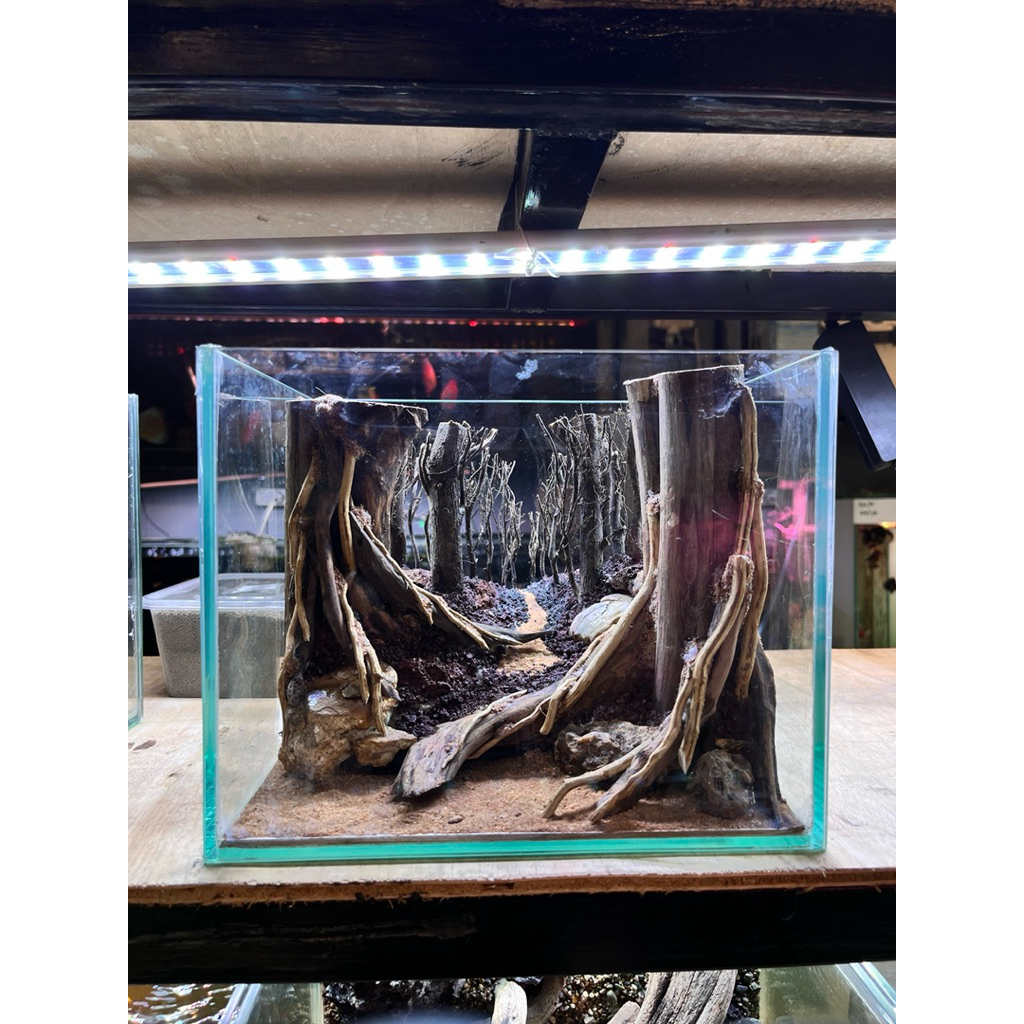 full set Aquarium size 25x20x20