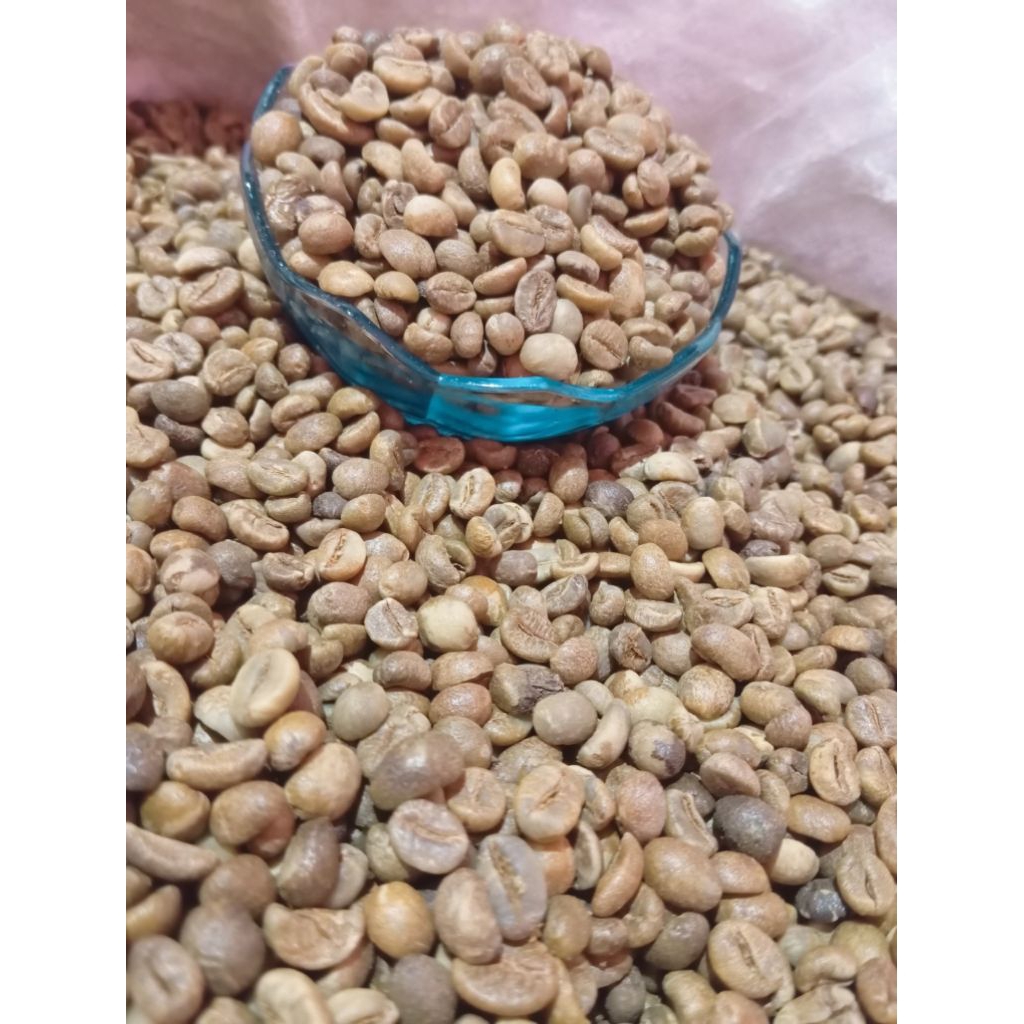 

GREEN BEAN BIJI KOPI ROBUSTA LAMPUNG GRADE ASALAN PROMO HEMAT 20KG