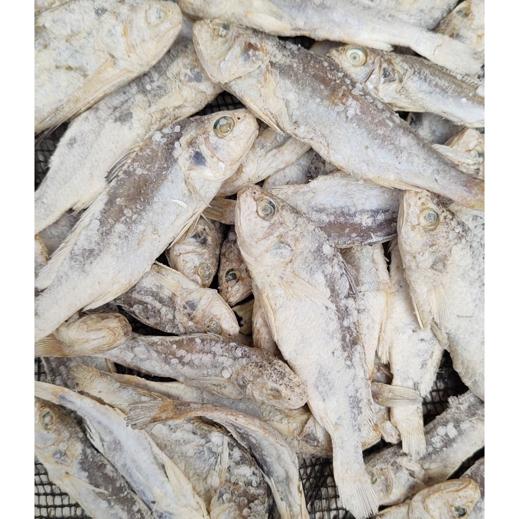 

Ikan Asin Kepala Batu 1 Kg