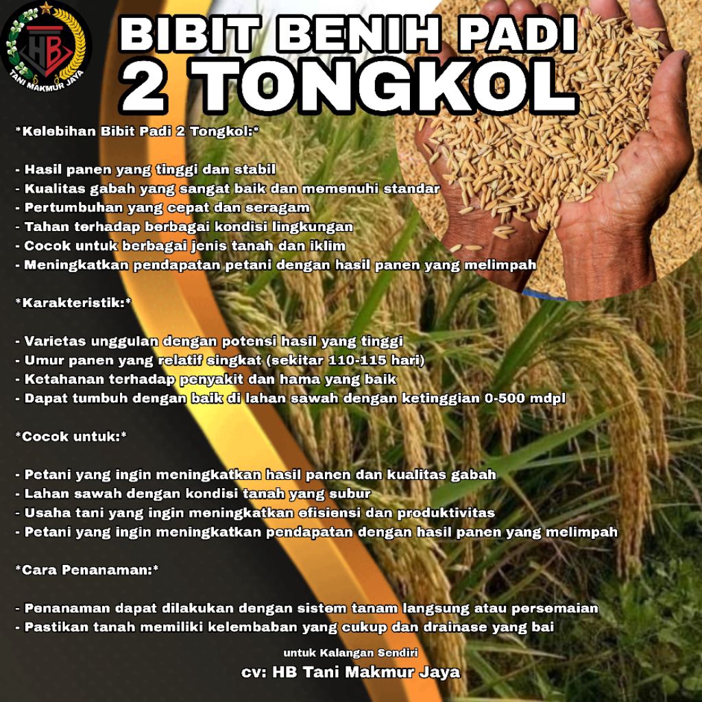 BIBIT BENIH PADI 2 TONGKOL KEMASAN 3KG