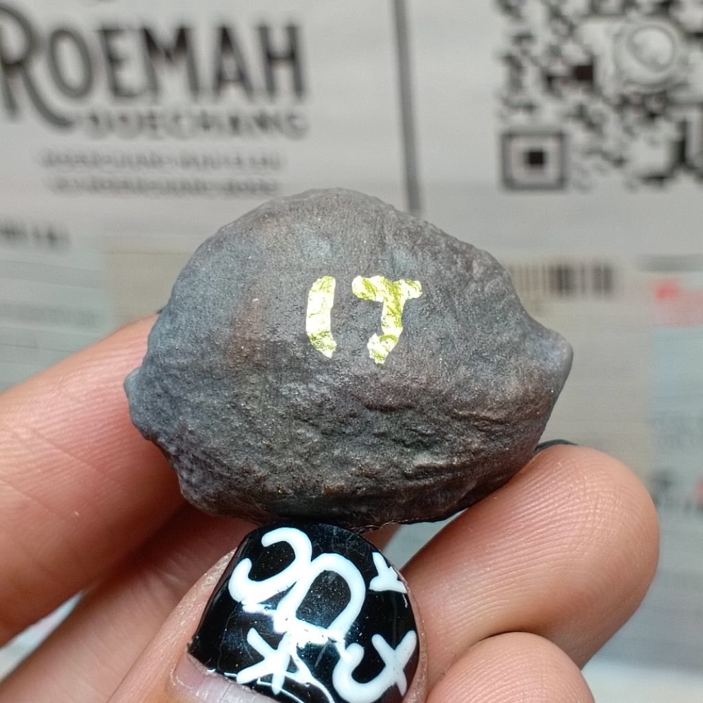 Muncang Adu Manohara Childs 17