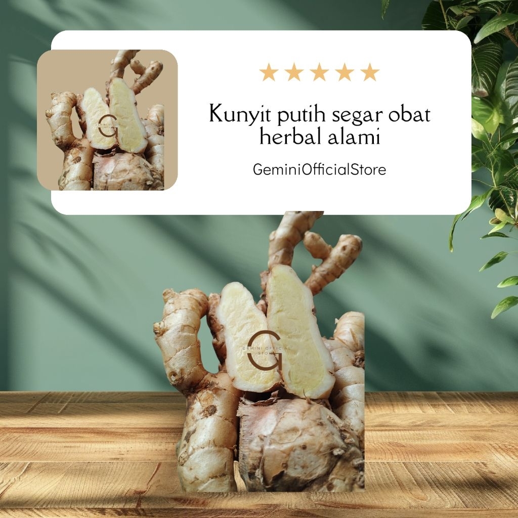 

Kunyit putih segar 1 kg fresh kunyit putih/ bersih / di ambil langsung dari kebun (GOS) ^_^