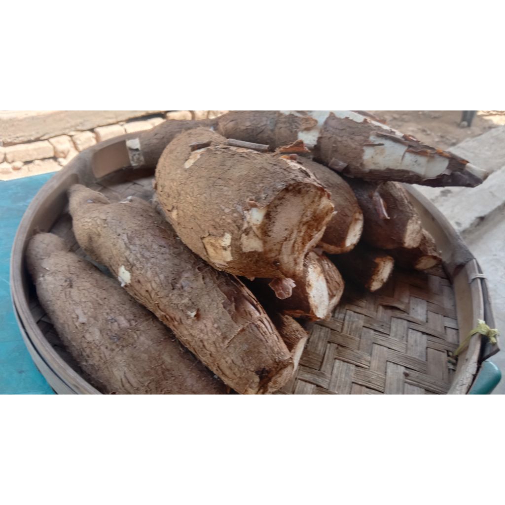 

Singkong mentega 1kg