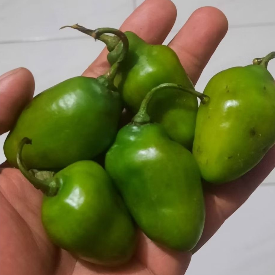 

Promo Cabe Gendot 500gr