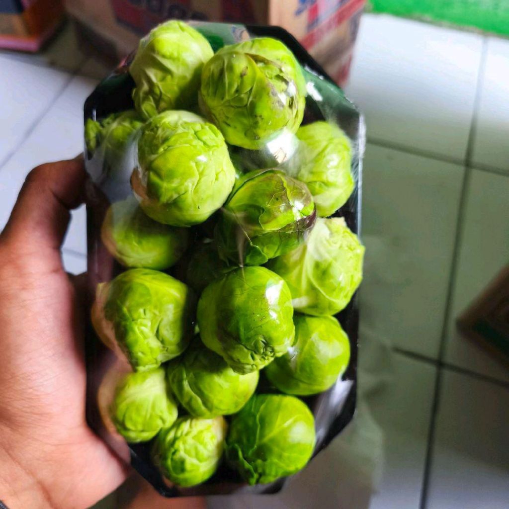 

Brussel import Australia kol mini import super fresh 500 gram