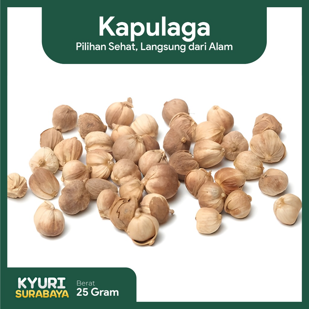 

Kapulaga Putih / Kapulaga Kering