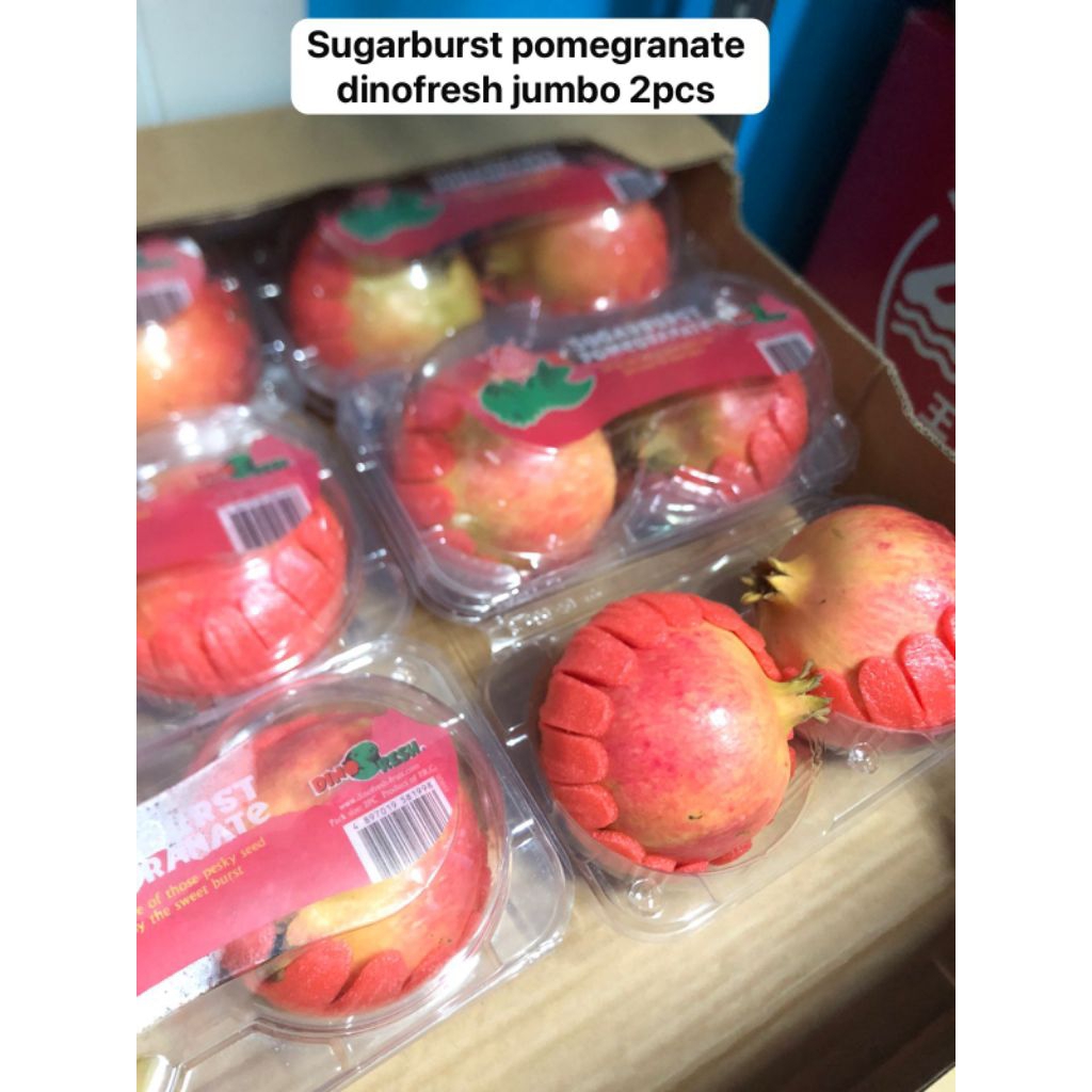 

Sugarburst Pomegranate Dinofresh 2pcs Jumbo /pack