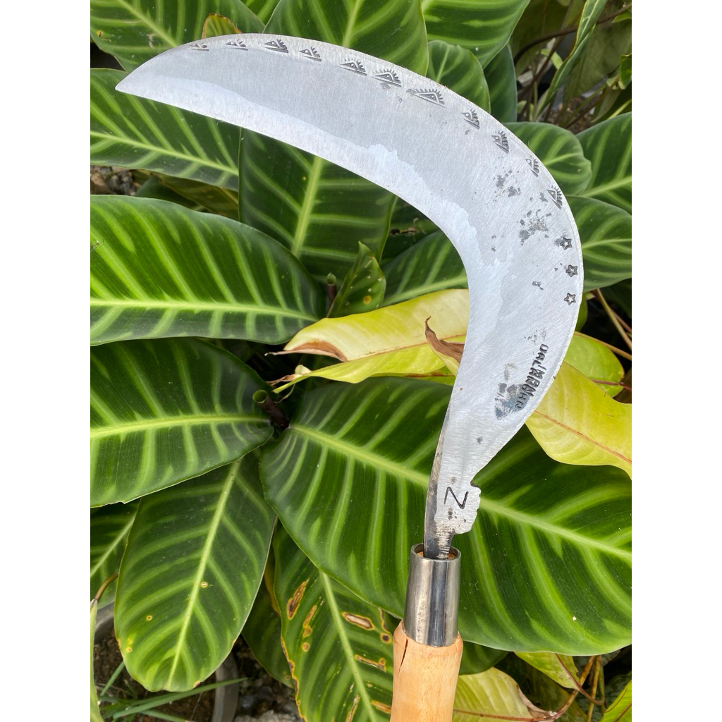 Arit padi dan rumput cap mata baja isen asli super asahan