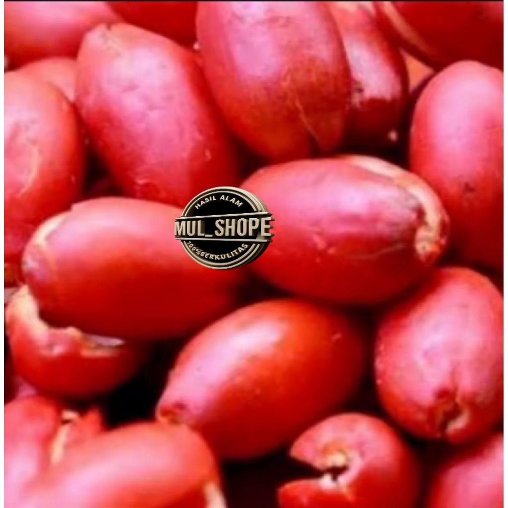 

KULIT MELINJO / KULIT MELINJO 1KG SUPE RFRESH HASIL PILIHAN