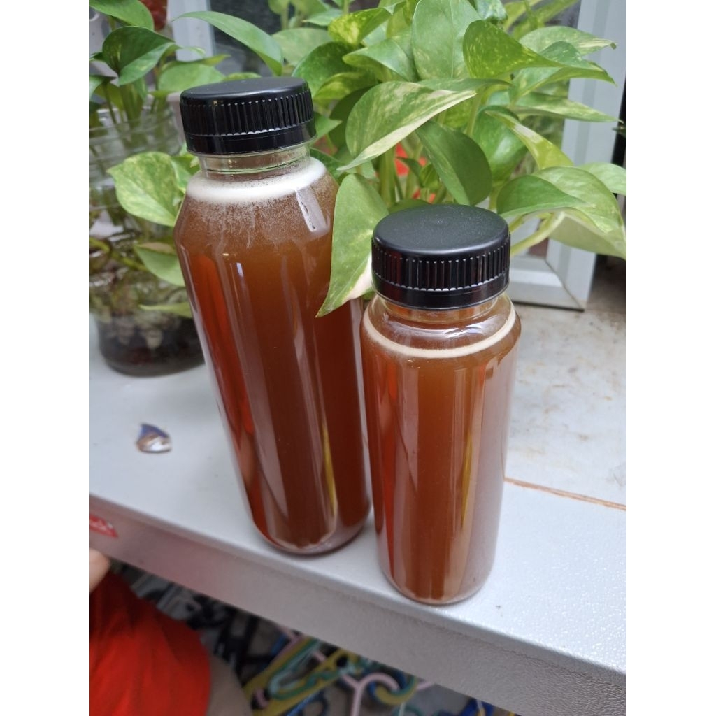 

Madu trigona Rongkong Sul-Sel.