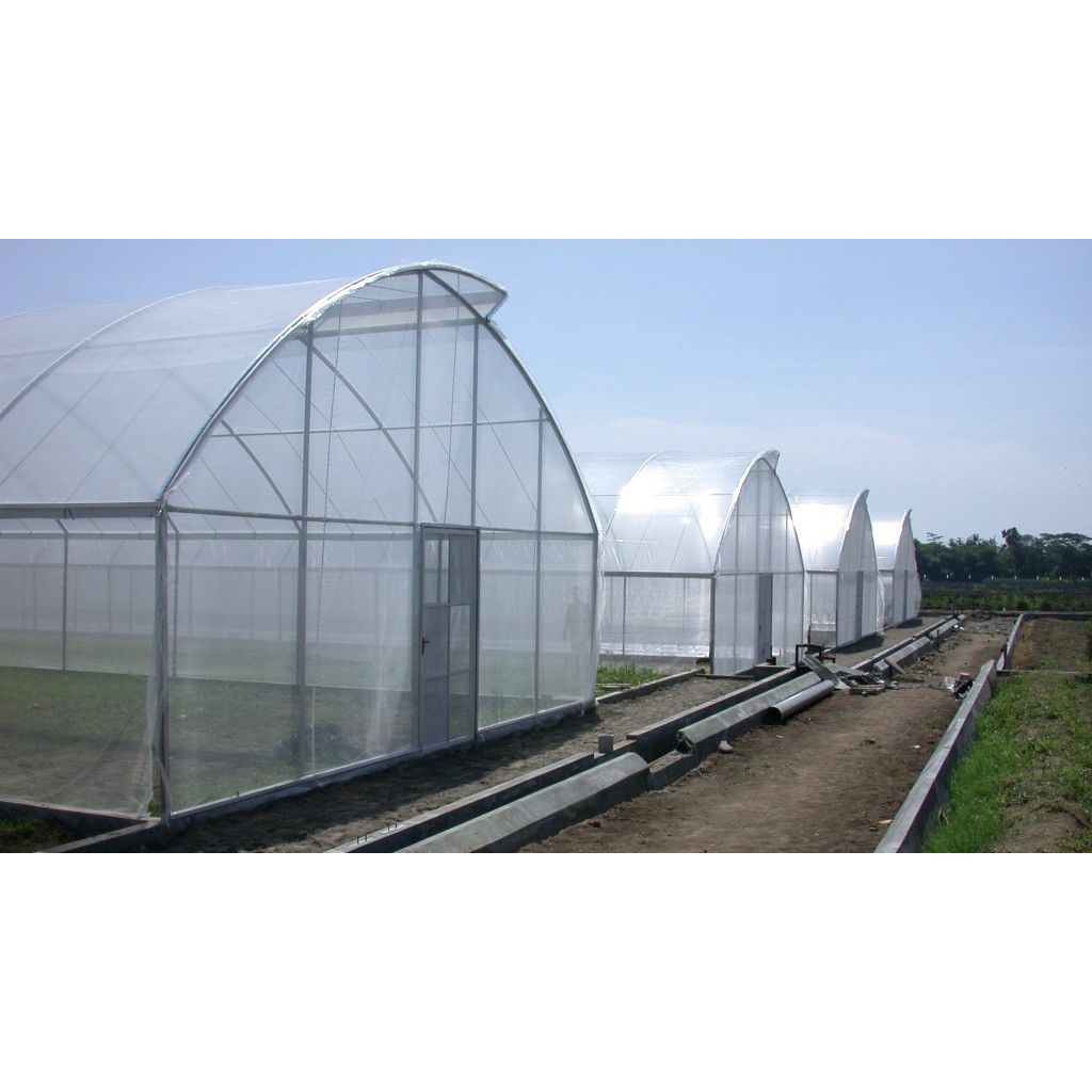 Plastik UV Tebal 0,25/250 Micron 7×8 Meter