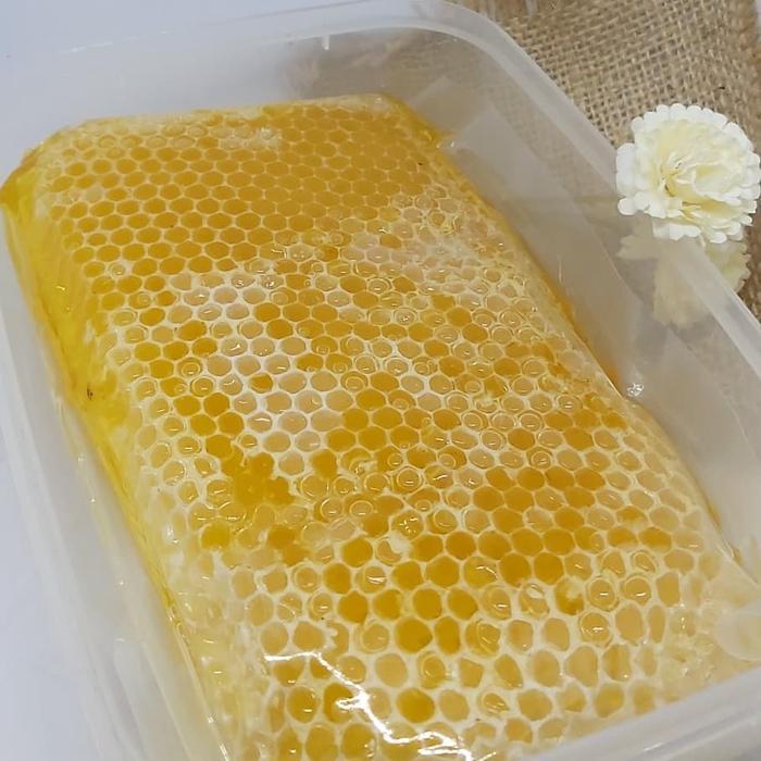 

PROMO!!! Madu sarang asli murni epis melifera netto 500 gram sarang madu asli madu mentah sarang madu raw honey honeycomb