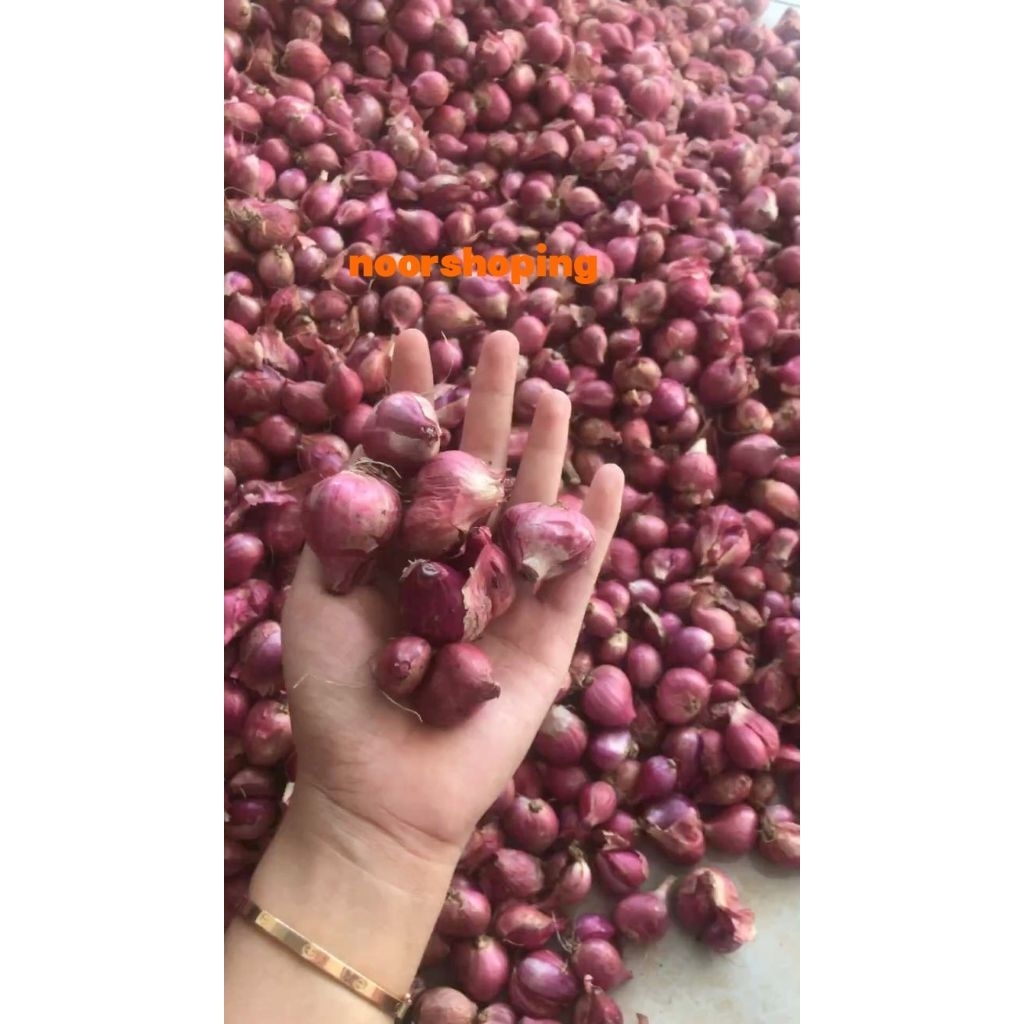 

bawang merah 100gr