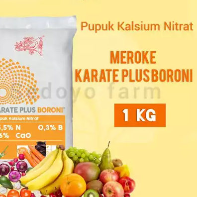 Alltechshop_ Karate Plus Boroni 1 Kg Karate Boroni Kemasan Pabrik Karate Plus Boroni Karate Boron
