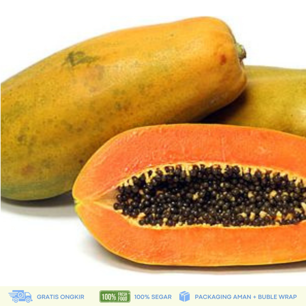 

Pepaya California - Tanpa Minimum Order, Pengiriman Partai Besar Per Buah