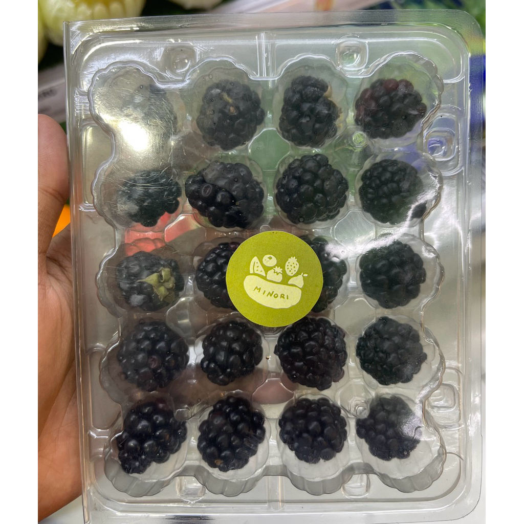 

Buah Blackberry Minori / Blackberry Lokal Fresh / Pack