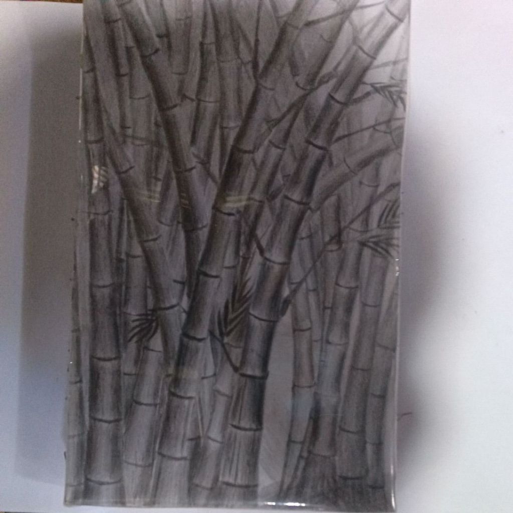 

gambar bambu pensil 2b