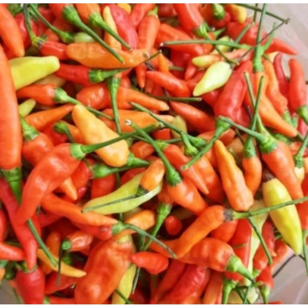 

Cabe Rawit Merah Pedas 500 gr