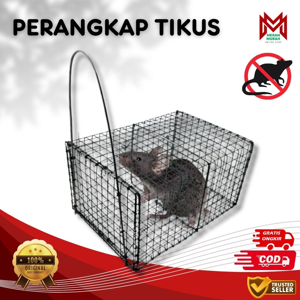 Perangkap Tikus Besi Otomatis Ampuh  - Jebakan Tikus Senteg