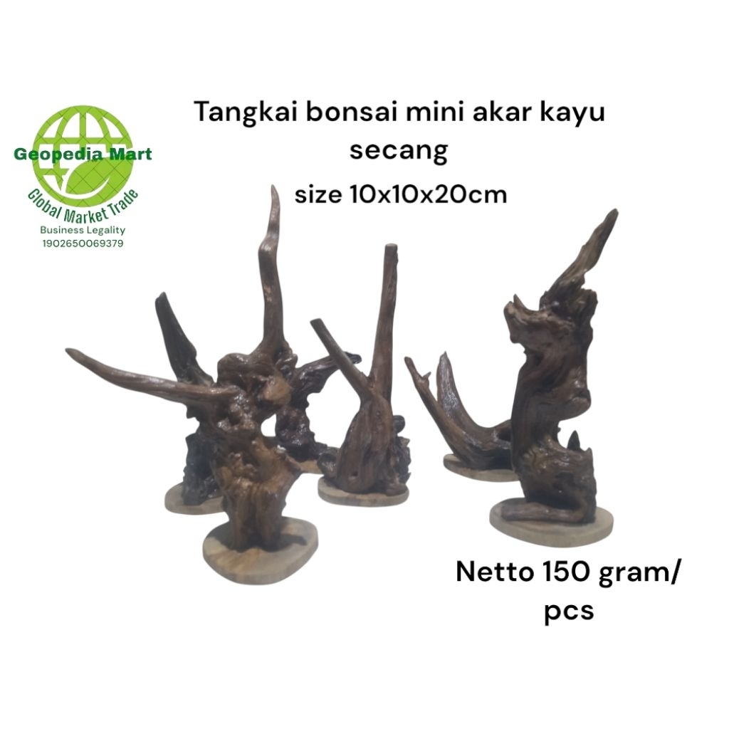 Tangkai bonsai mini hiasan meja akar kayu secang premium Quality food grade