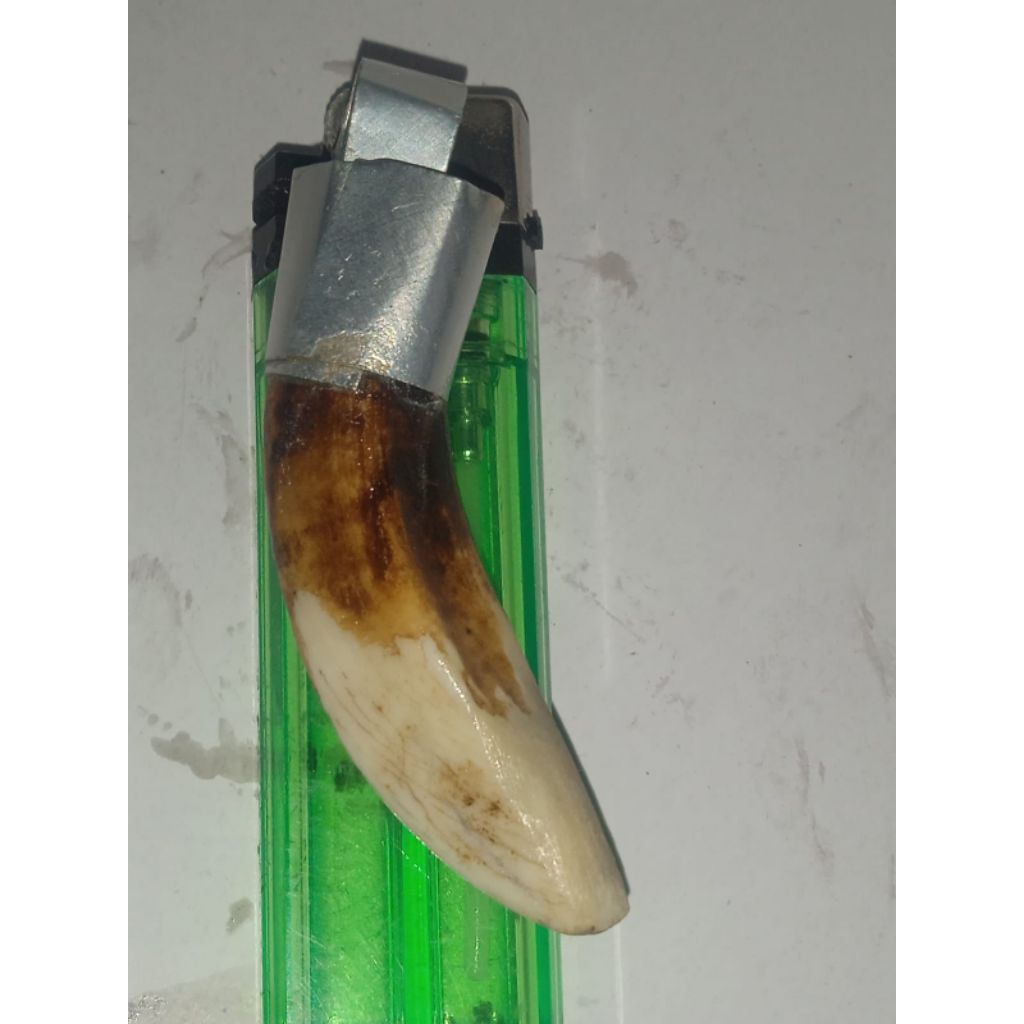 kalung liontin pria tarr.ham h.m