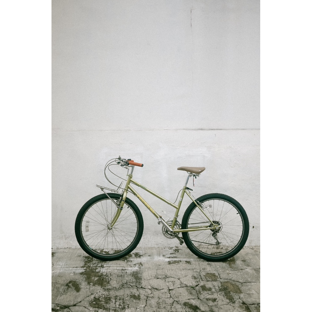 sepeda federal lady 26