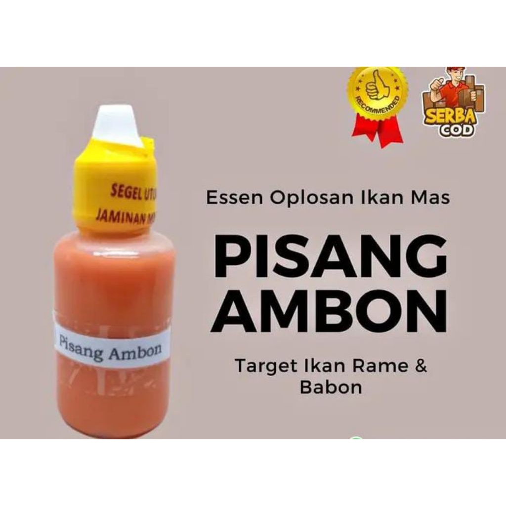 Essen ikan mas paling gacor aroma pisang ambon Essen ikan mas amis wangi, esen ikan mas indukan/hari