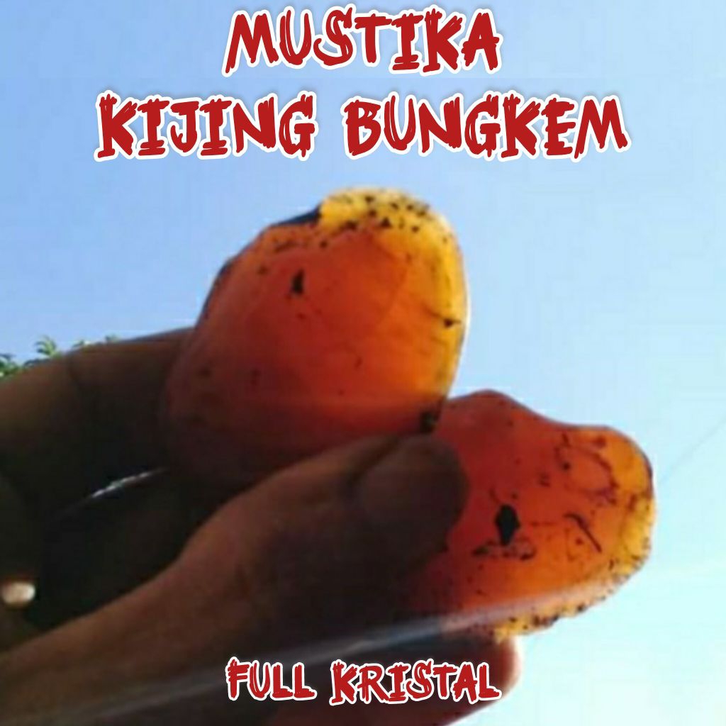 MOESTIKA KIJING BUNGKEM FULL KRISTAL