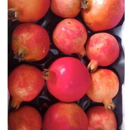 Buah Delima merah India Per 1 dus karton