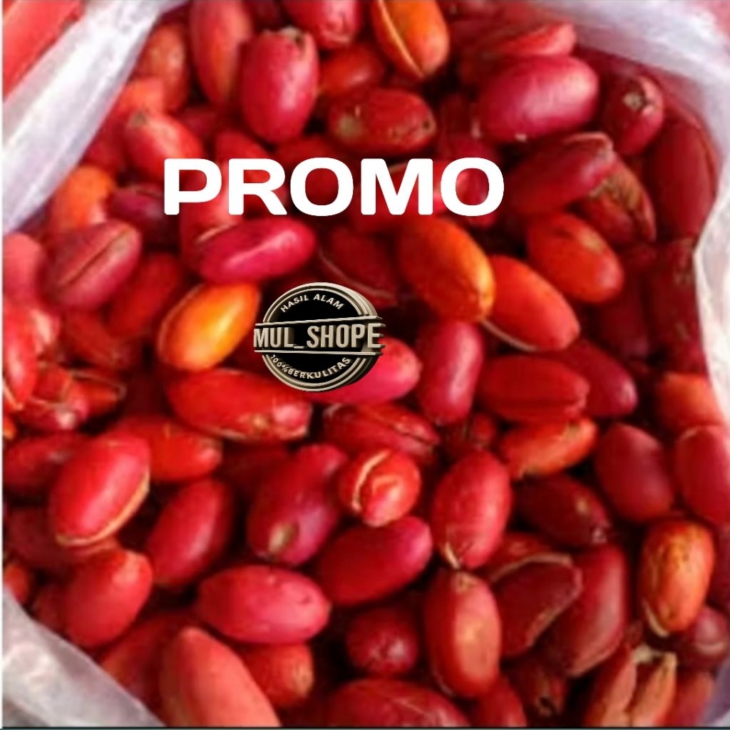 

1kg kulit melinjo kulit melinjo segar fresh kulit melinjo mateng terbaik