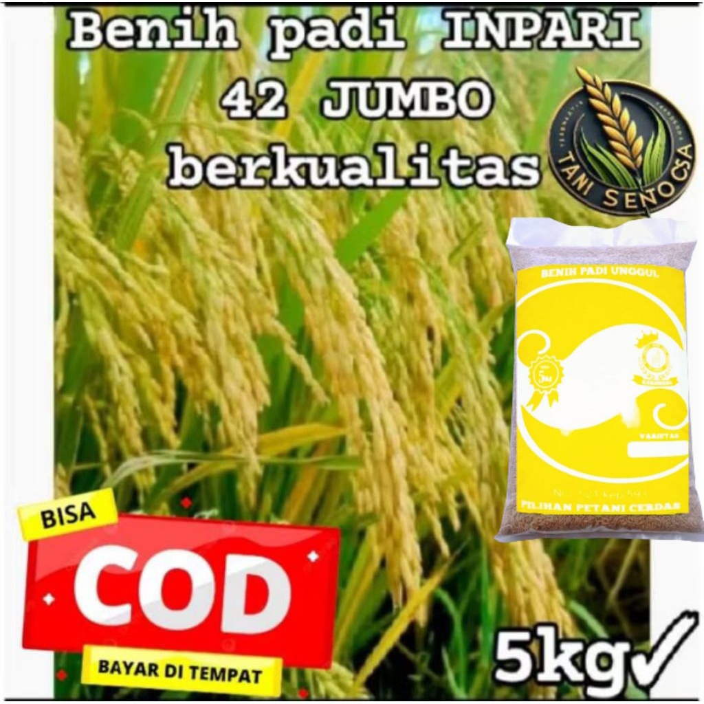 BENIH BIBIT PADI INPARI 42 JUMBO BERKUALITAS KEMASAN 5KG
