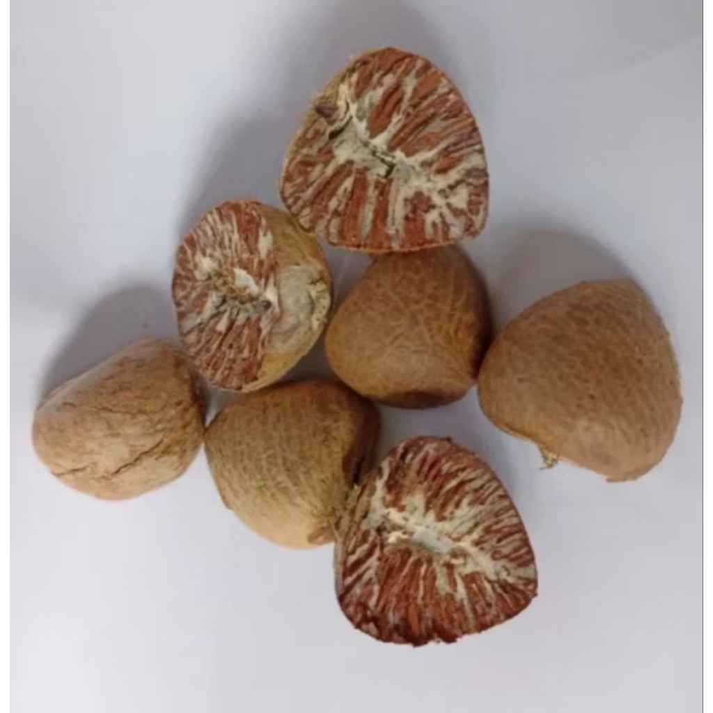 Buah pinang tua kering sudah dikupas