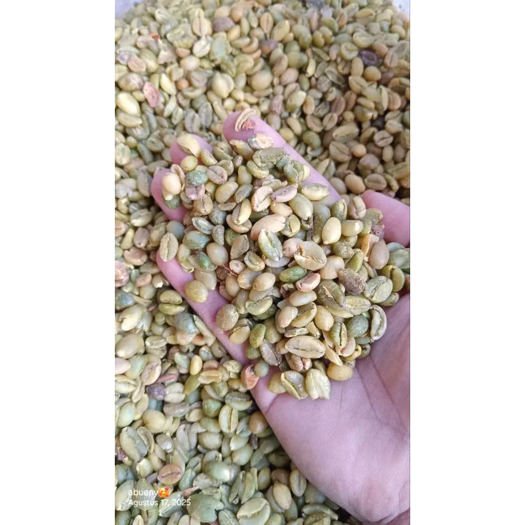 

kopi nangka krucil harum