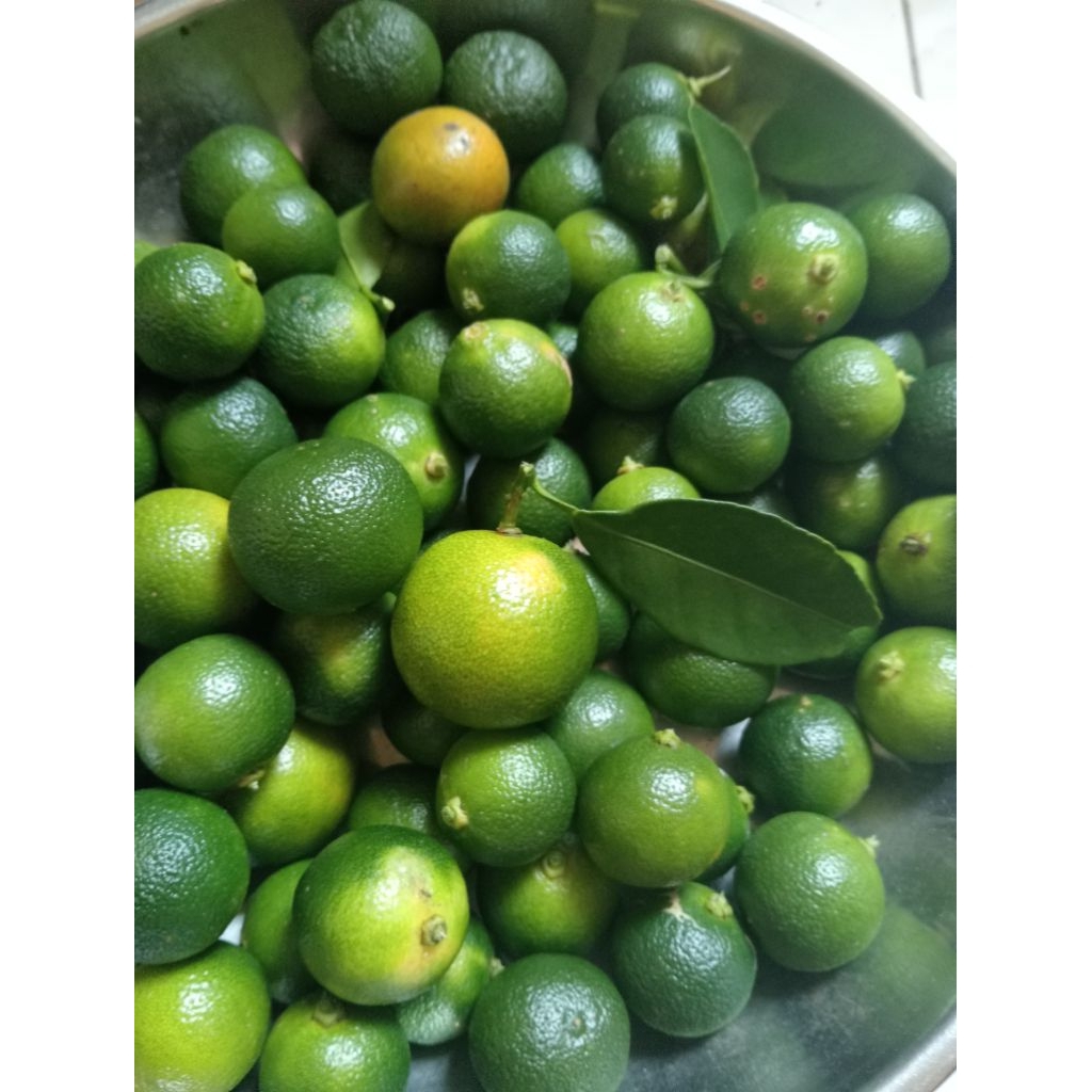 

Jeruk sonkit/jeruk kasturi/lemon cui