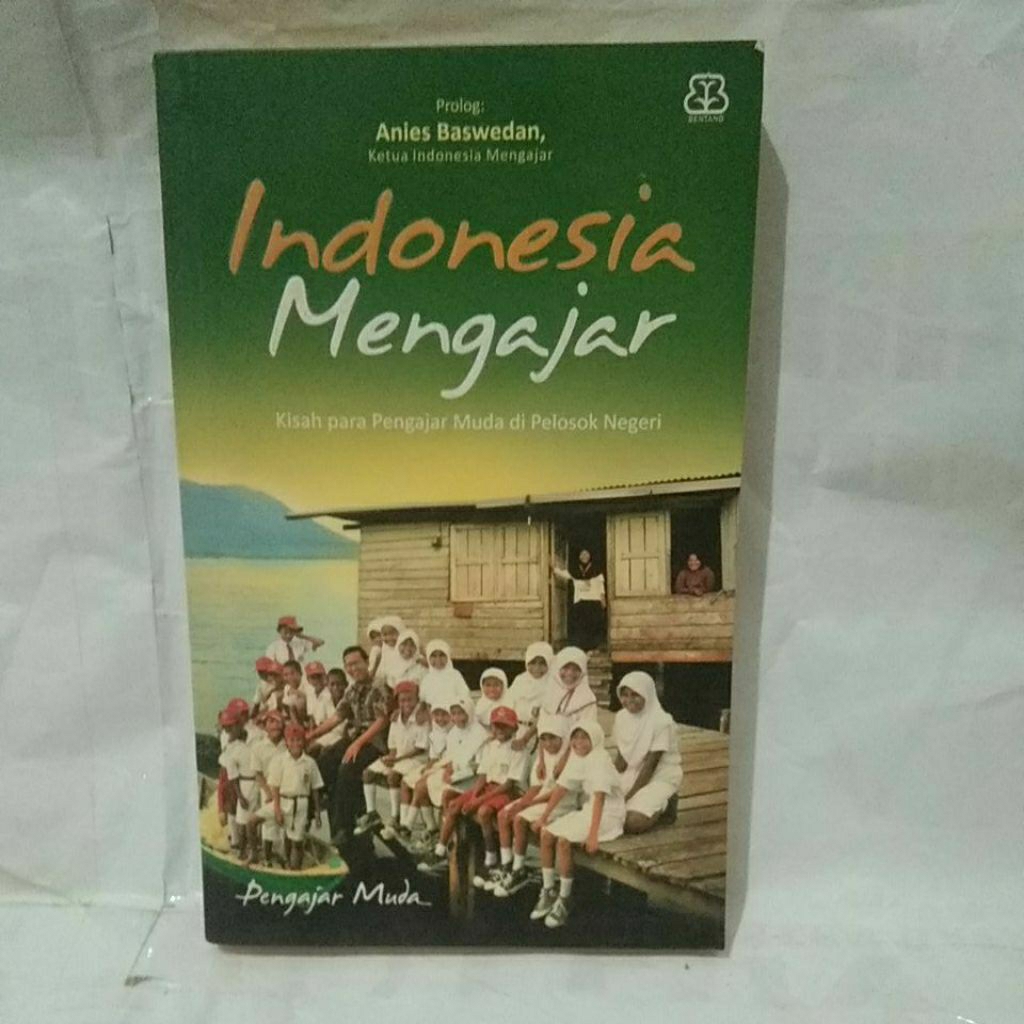 Indonesia mengajar