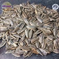 

KUACI MATAHARI MANIS / BIJI BUNGA MATAHARI MANIS PREMIUM