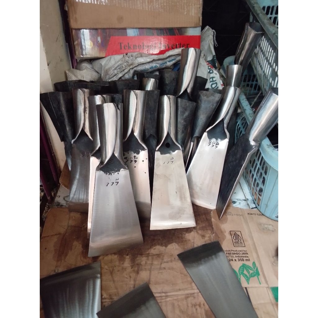 DODOS buah sawit ORI spp777 lebar 10cm