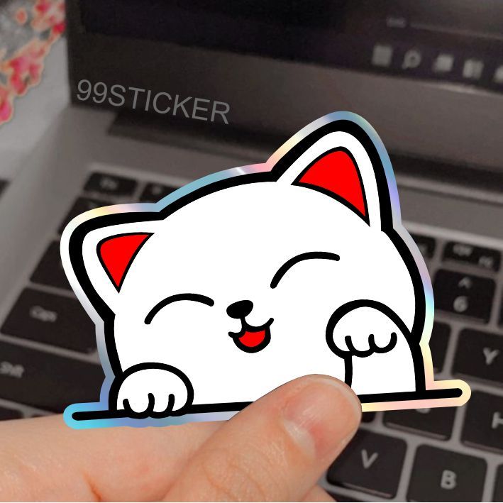 A19, stiker kucing imut lucu, kucing lucu, stiker hologram, hp, motor