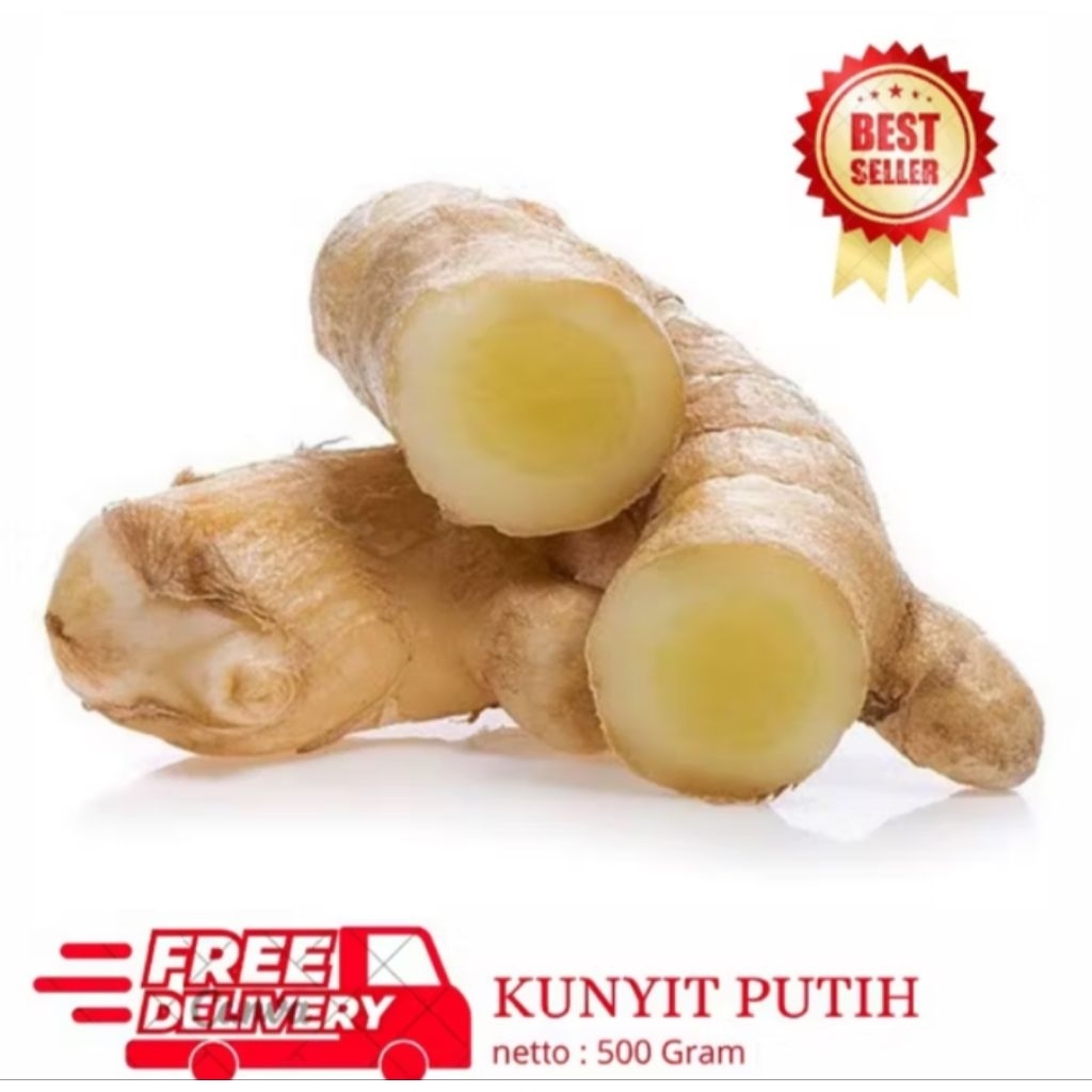 

Kunyit Putih, Temu putih Fresh 500gram