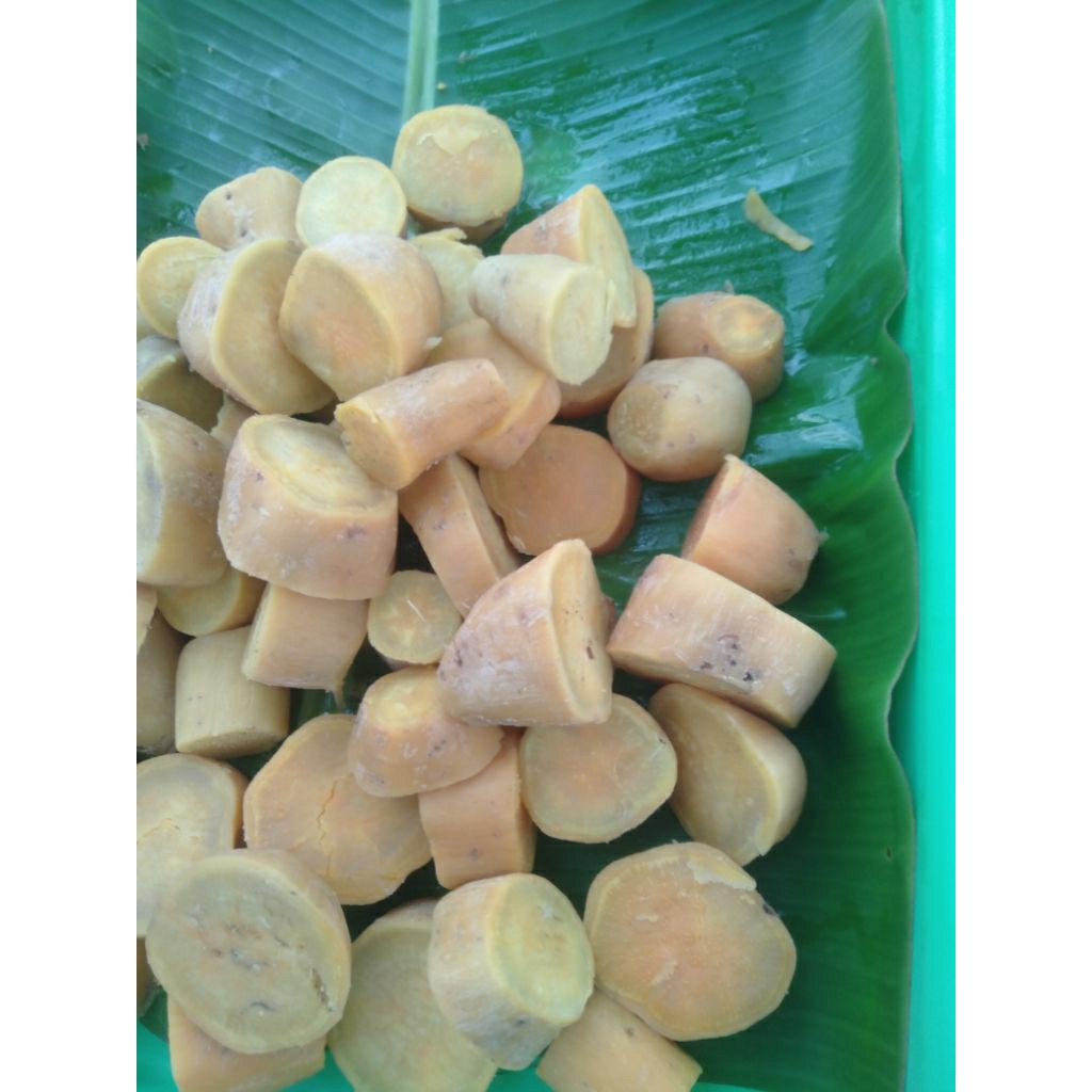 

UMBI KETELA TELO RAMBAT CILEMBU MANIS SEGAR