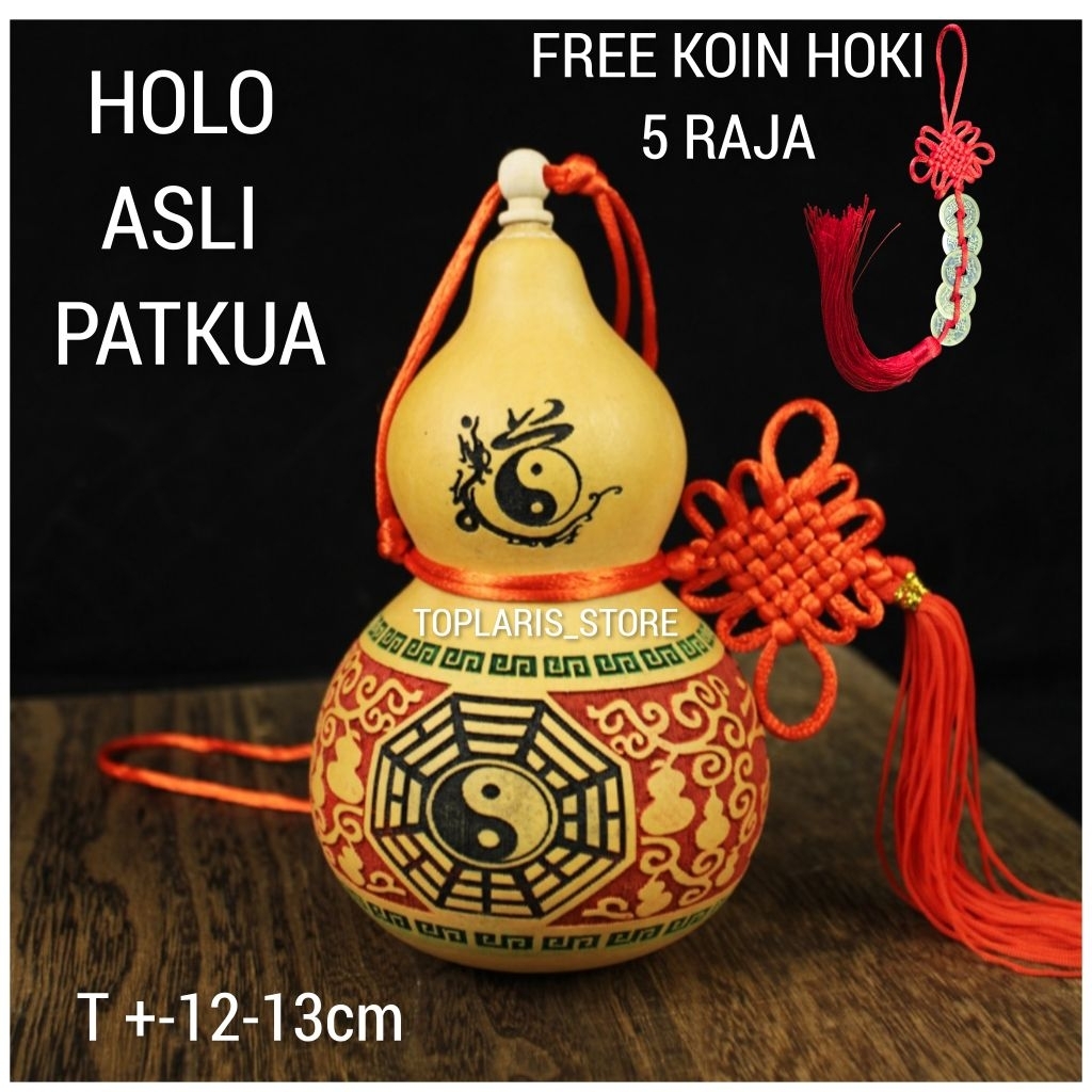 Holo Labu Asli Patkua