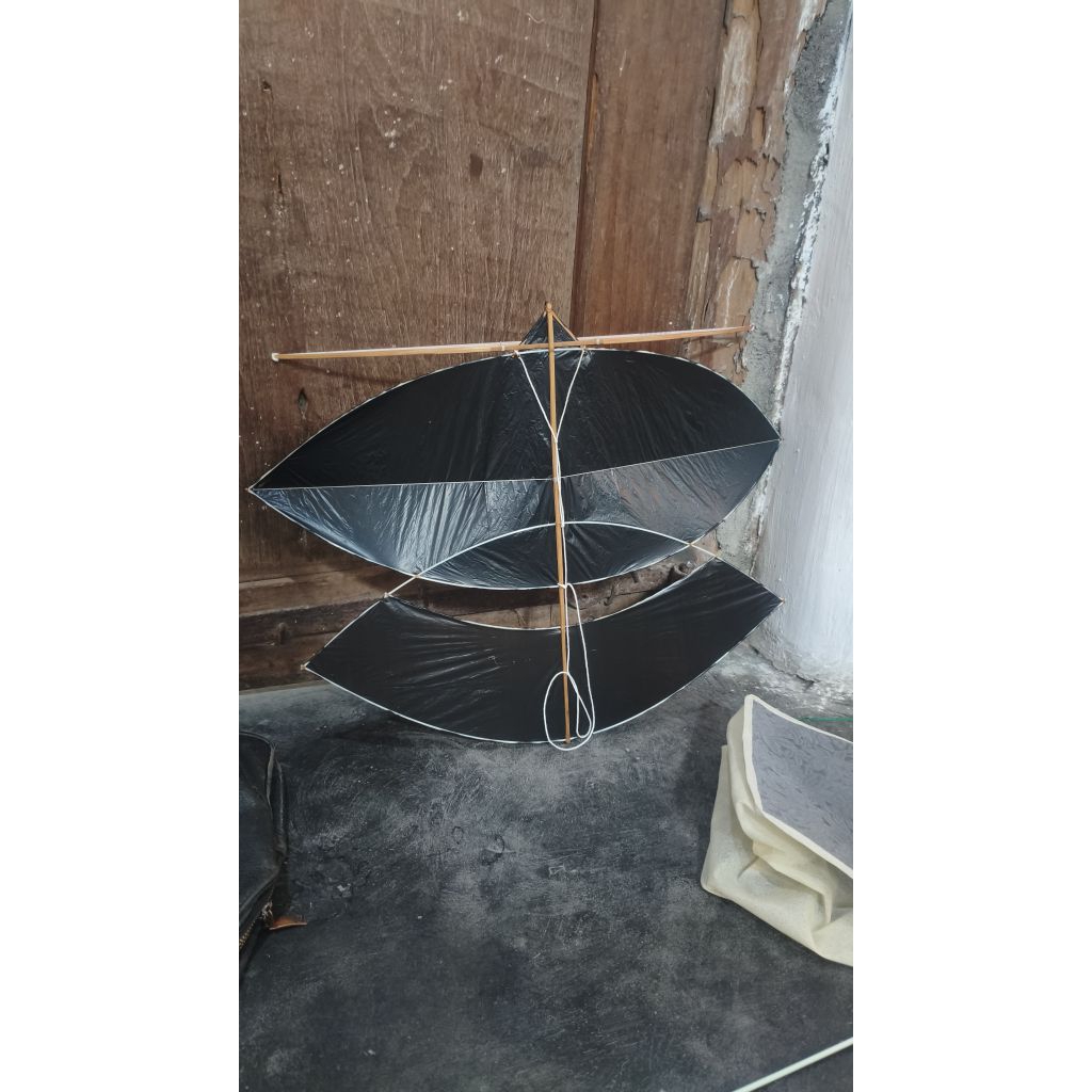 Layang layang gapangan