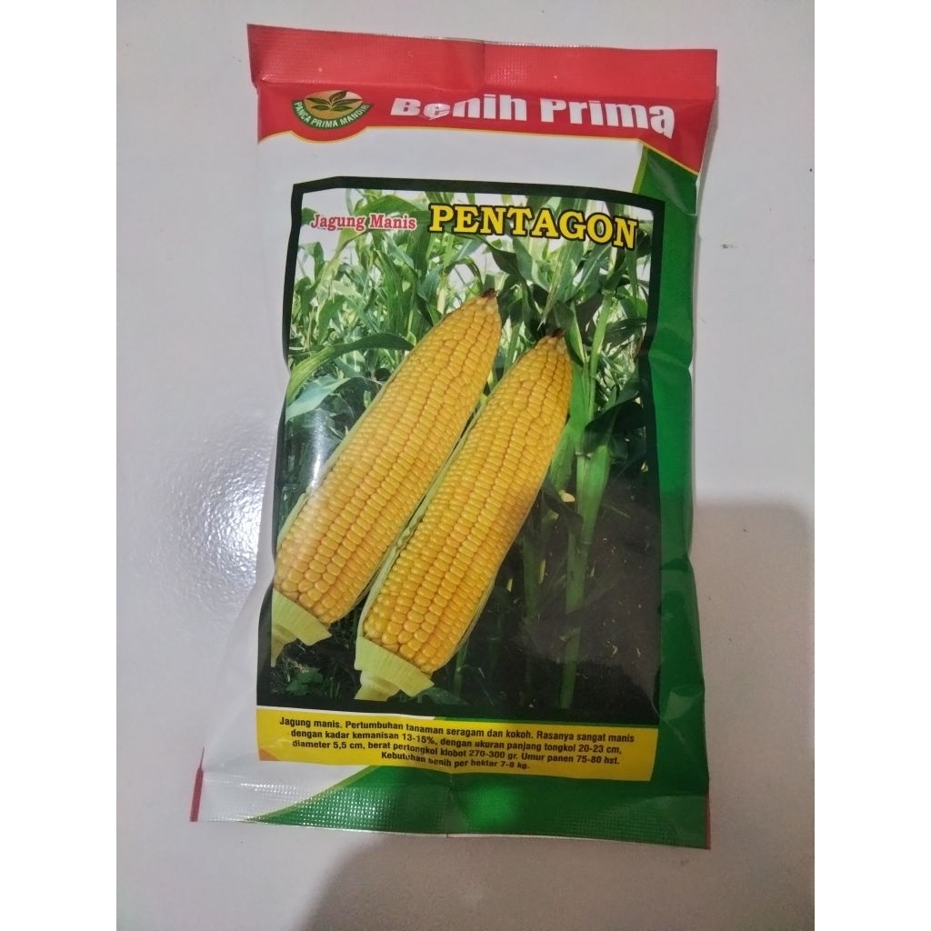 

Bibit Jagung Manis PENTAGON / 250 gram